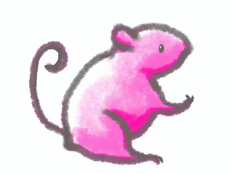 Illustration, mouse, pink, zodiac, 