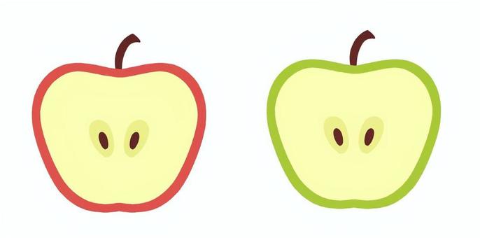 りんごの断面 りんごの断面 りんご,果物,食べ物のイラスト素材