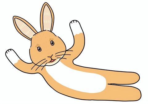 横から出てくるウサギ