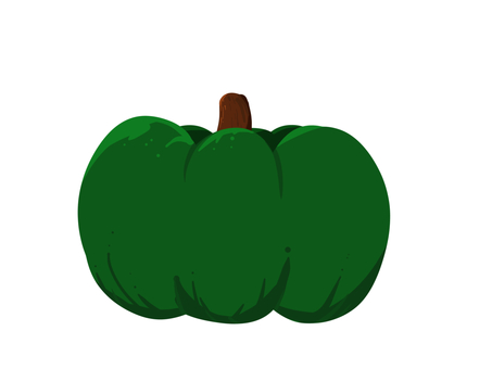 かぼちゃ かぼちゃ,野菜,食材,緑,収穫後,冬至のイラスト素材