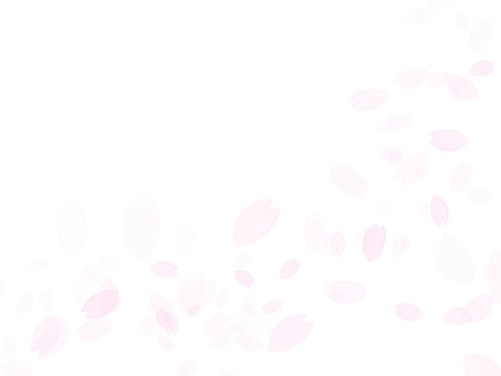 Sakura petals bluish pink, JPG and PNG Sakura petals bluish pink, cherry blossoms, cherry-blossom color, pink, JPG and PNG