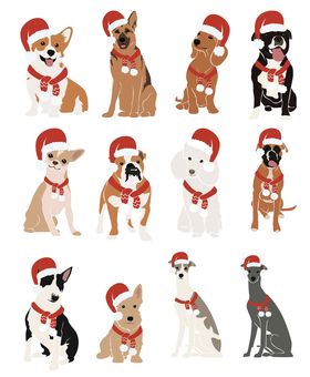 クリスマス クリスマス,犬,イベント,dog,pet,christmasのイラスト素材