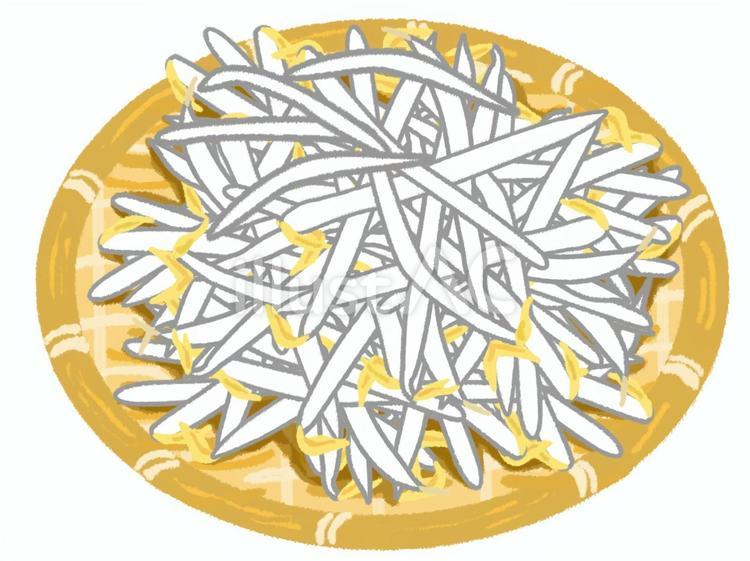 ざるの上に盛られた新鮮な大盛りのもやし もやし,野菜,淡色野菜のイラスト素材
