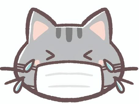 風邪か花粉症でマスクをして泣く動物の猫 風邪か花粉症でマスクをして泣く動物の猫 マスク,花粉症,風邪,コロナ,インフルエンザ,病気,病院,薬局,内科,小児科のイラスト素材