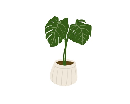 観葉植物01 モンステラ,ホウライショウ,緑,植木鉢,観葉植物,ナチュラル,手書き,植物のイラスト素材