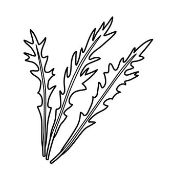 水菜のアイコン