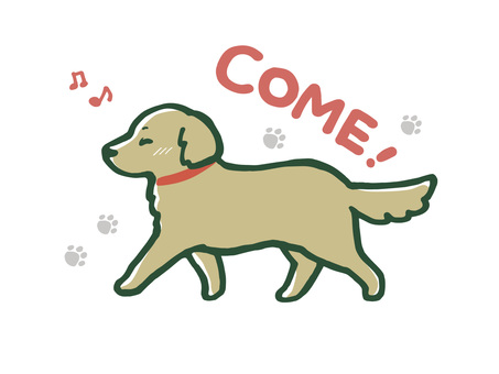 犬のしつけ（おいで） 犬,しつけ,英語,命令,来い,歩く,肉球,手描きのイラスト素材