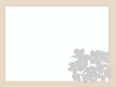 白い花のフレームイラスト