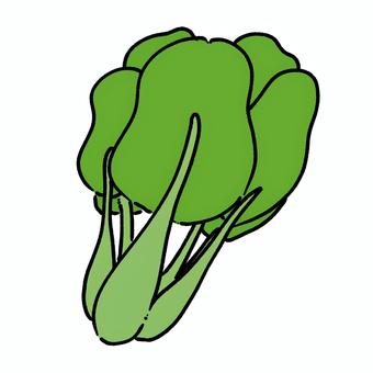 小松菜 小松菜,食べ物,やさい,美味しい,葉物野菜,葉っぱ,栄養,緑黄色野菜,健康,緑のイラスト素材