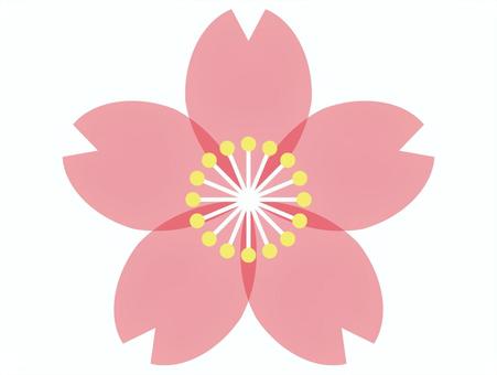 Cherry Blossoms, JPG, PNG and EPS Cherry Blossoms, china, japan, cherry blossoms, JPG, PNG and EPS