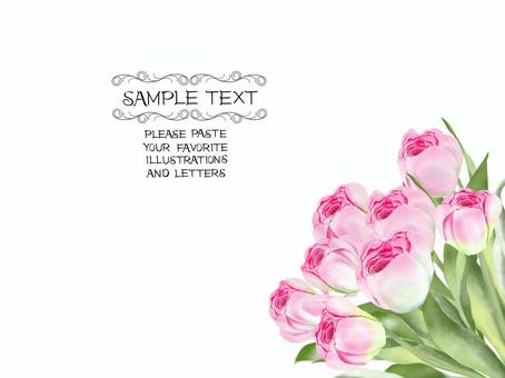 Tulip frame, JPG and PNG Tulip frame, , JPG and PNG