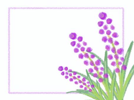 purple flower frame, flower, purple, frame, JPG and PNG