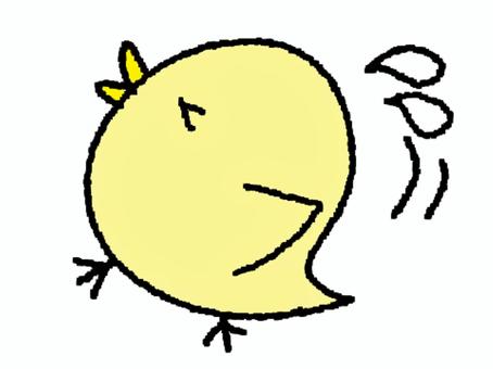 焦るひよこ ひよこ,焦る,移動,汗,pop調,手描き,挿絵,ワンポイント,素材,商用可のイラスト素材