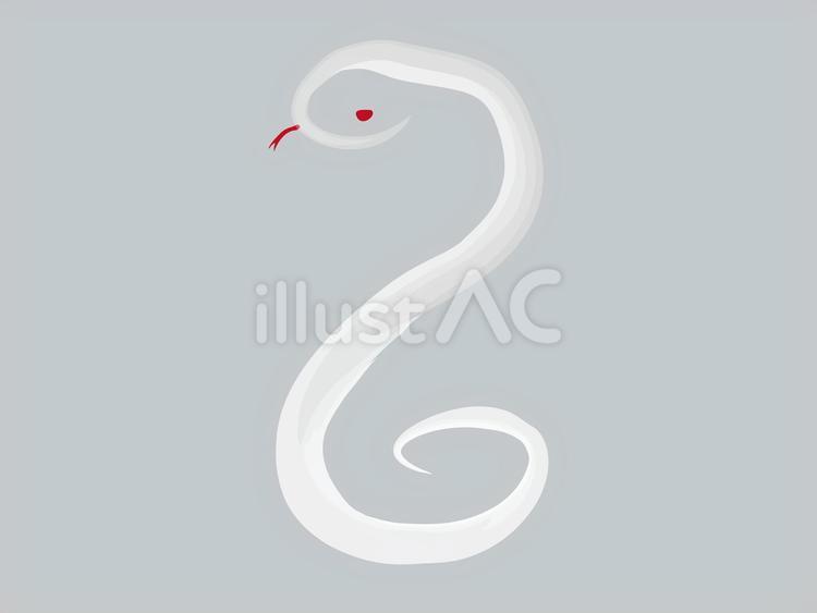 美しい白へび3 へび,年賀状,蛇のイラスト素材