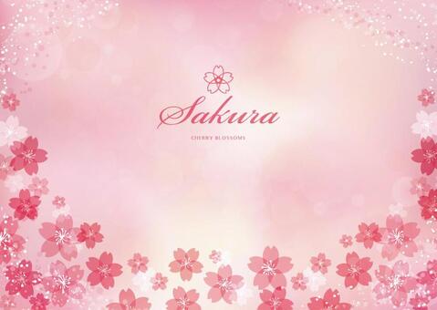 Spring background frame 002 Sakura pink, spring, cherry blossoms, cherry blossoms, JPG, PNG and AI