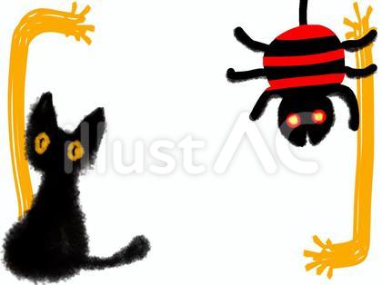 黒猫とクモ