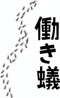 働き蟻 働き蟻,沢山,行列,昆虫,小さい,リアル,文字,シルエットのイラスト素材