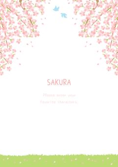 優しい桜の花の風景イラスト 桜,春,植物,背景,花,自然,ナチュラル,ほのぼの,ほんわか,かわいいのイラスト素材