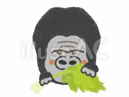 ゴリラ