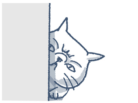 cat, cat, animal, simple, JPG and PNG