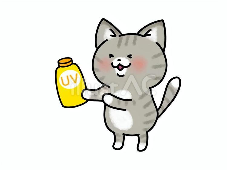 日焼け止めを塗るネコちゃん ねこ,日焼け止め,uvのイラスト素材