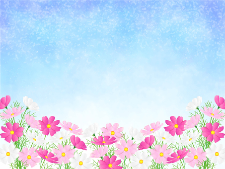 コスモスのフレーム、背景50 コスモス,秋桜,水彩,秋,花,フレーム,背景,手描き,枠,飾り枠のイラスト素材