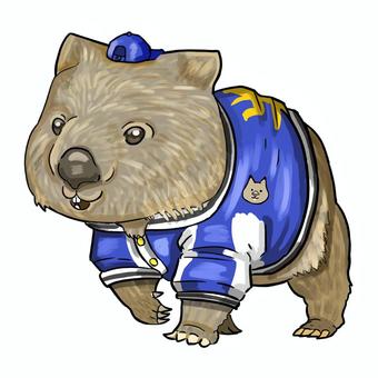 ウォンバット２ ウォンバット,動物,有袋類,帽子,可愛いのイラスト素材
