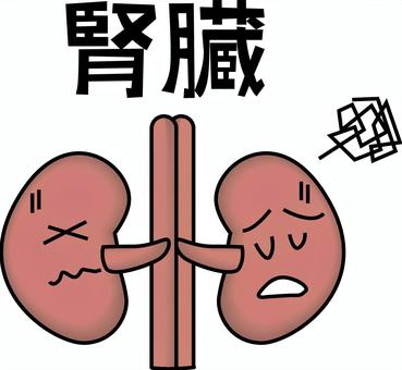 腎臓弱る 腎臓弱る 腎臓,弱る,ぐったり,表情,内臓,臓器,内部,医療,人体,漢字のイラスト素材
