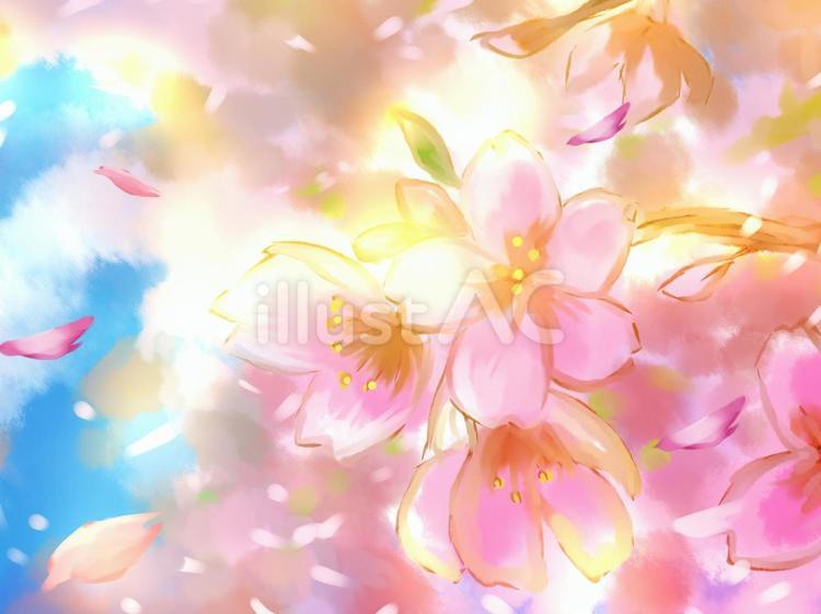 さくら 桜,ピンク,春のイラスト素材