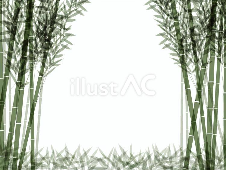 take06 竹　和風背景 竹,リアル,ナチュラルのイラスト素材