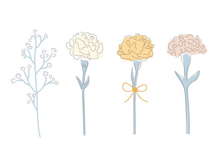 Illustration, plant, flower, carnation, 