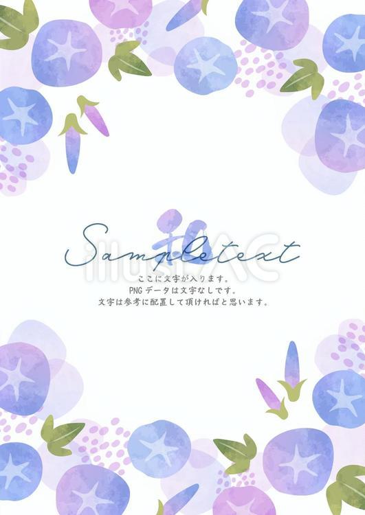 涼し気な朝顔の挨拶状 夏,お盆,朝顔のイラスト素材