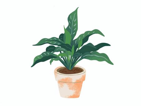 Illustration, green, plant, botanical, 