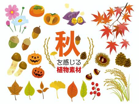 秋を感じる植物素材, herbst, eichel, herbstblätter, JPG, PNG and AI