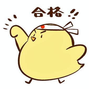 合格を応援するひよこ１ ひよこ,鳥,合格,ハチマキ,日の丸,応援,入試,受験,受験生,声援のイラスト素材