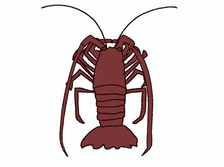 伊勢海老 伊勢海老,高級,生き物,pop調,手描き,挿絵,ワンポイント,素材,商用可,無料のイラスト素材