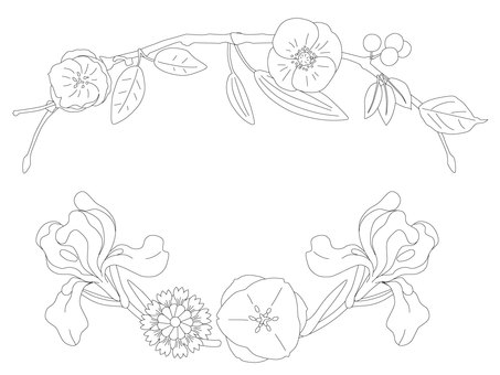 線画素材03＿アヤメの飾り枠（塗り絵） 線画,塗り絵,アヤメ,花,植物,手描き,ぬり絵,葉,山野草,色彩感覚のイラスト素材
