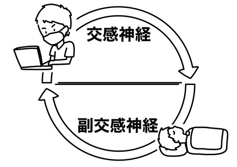 男性看護師の自律神経サイクル　線画 男性,白衣,交感神経,副交感神経,矢印,サイクル,睡眠,看護師,線画のイラスト素材