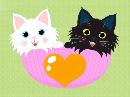 Illustration, cat, black cat, white cat, 