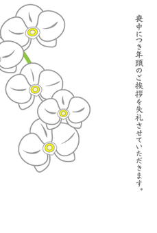 文字を変えるとお祝いにも使える胡蝶蘭  胡蝶蘭,らん,花,植物,喪中,お悔み,仏事,不祝儀,白地,白背景のイラスト素材