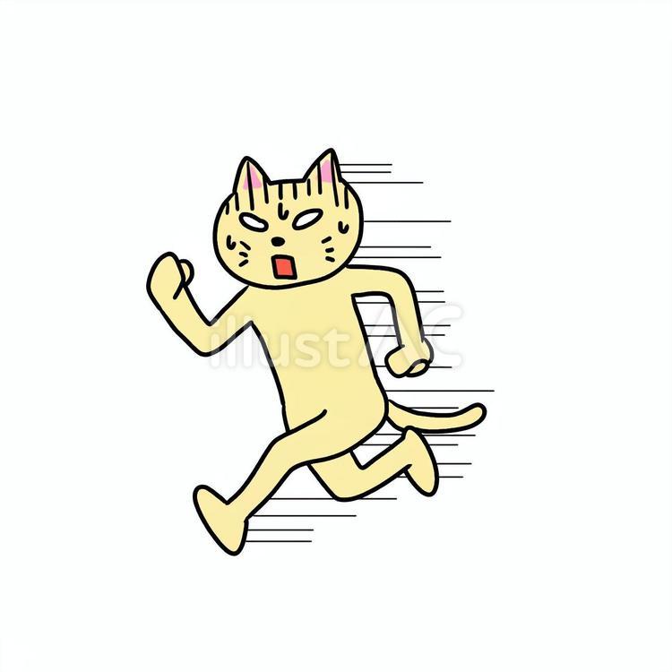 走るねこ ねこ,動物,キャラのイラスト素材