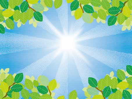 The sun and the four seasons (14 looking up fresh green and sunlight A, أوائل الصيف, الصيف, ورق, JPG, PNG and AI