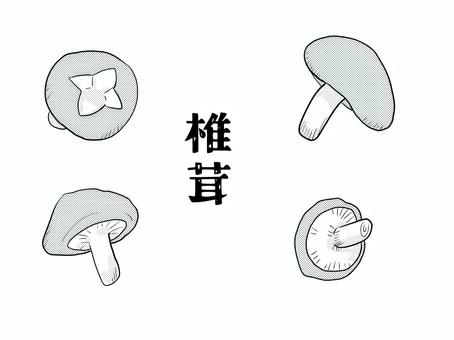 Illustration, shiitake, mushroom, fungi, 