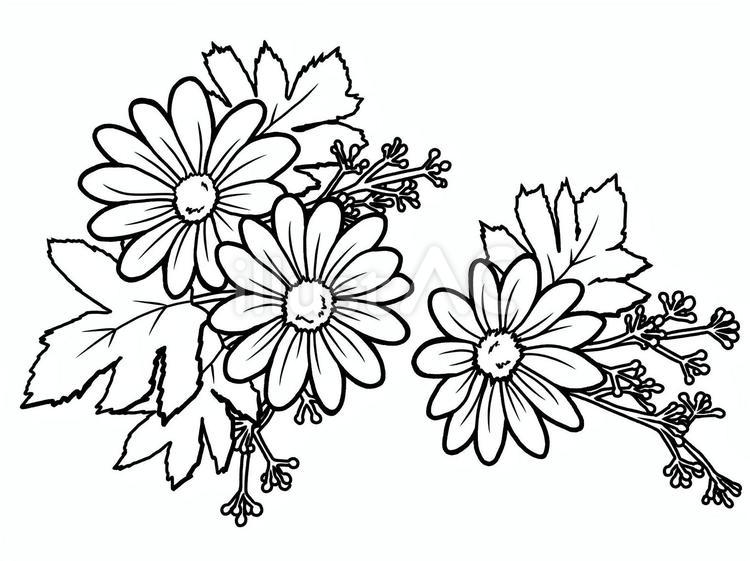 お花ぬり絵用線画4 花,植物,線画のイラスト素材