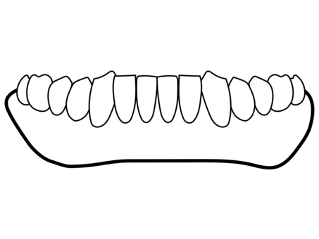 総義歯 正面イラスト(下顎・主線のみ) 総義歯 正面イラスト(下顎・主線のみ) 総義歯,下顎,入れ歯,歯科,歯科技工,医療,教材用イラスト,正面,デフォルメ,vectorのイラスト素材
