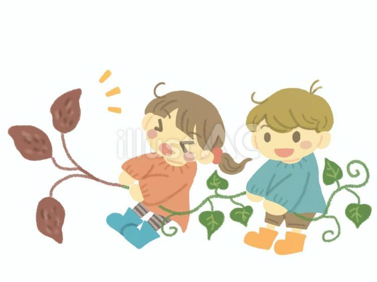 さつまいも掘りをする子ども サツマイモ,掘る,子供のイラスト素材