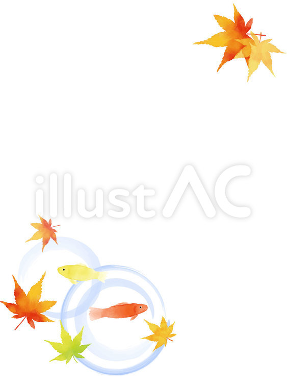 紅葉と金魚の背景　縦サイズ 紅葉,青紅葉,秋のイラスト素材