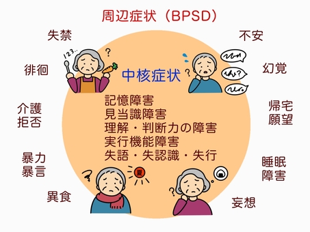 認知症の症状 認知症,症状,不安,イライラ,不眠,妄想,帰宅願望,bpsd,周辺症状,中核症状のイラスト素材