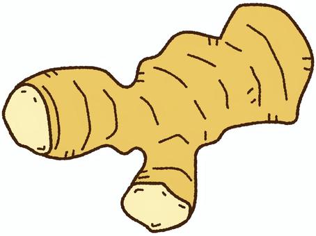 生姜 生姜,ショウガ,薬味,漢方,食材,食べ物,生薬,ジンジャー,イラスト,ベクターのイラスト素材