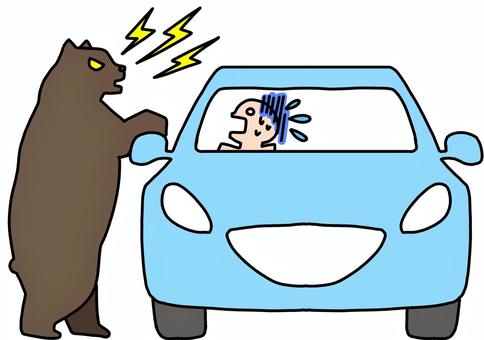 クマが車を襲う　カラー クマ,車,被害,びっくり,カラーのイラスト素材
